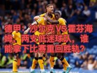 九游娱乐网址-包含沃尔夫斯堡爆冷击败霍芬海姆，在客场取胜的词条