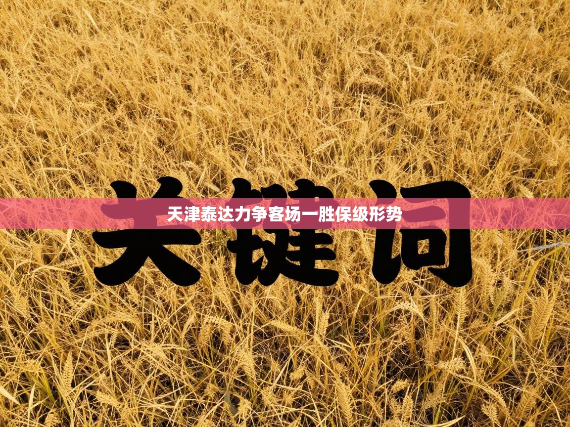 天津泰达力争客场一胜保级形势 第2张