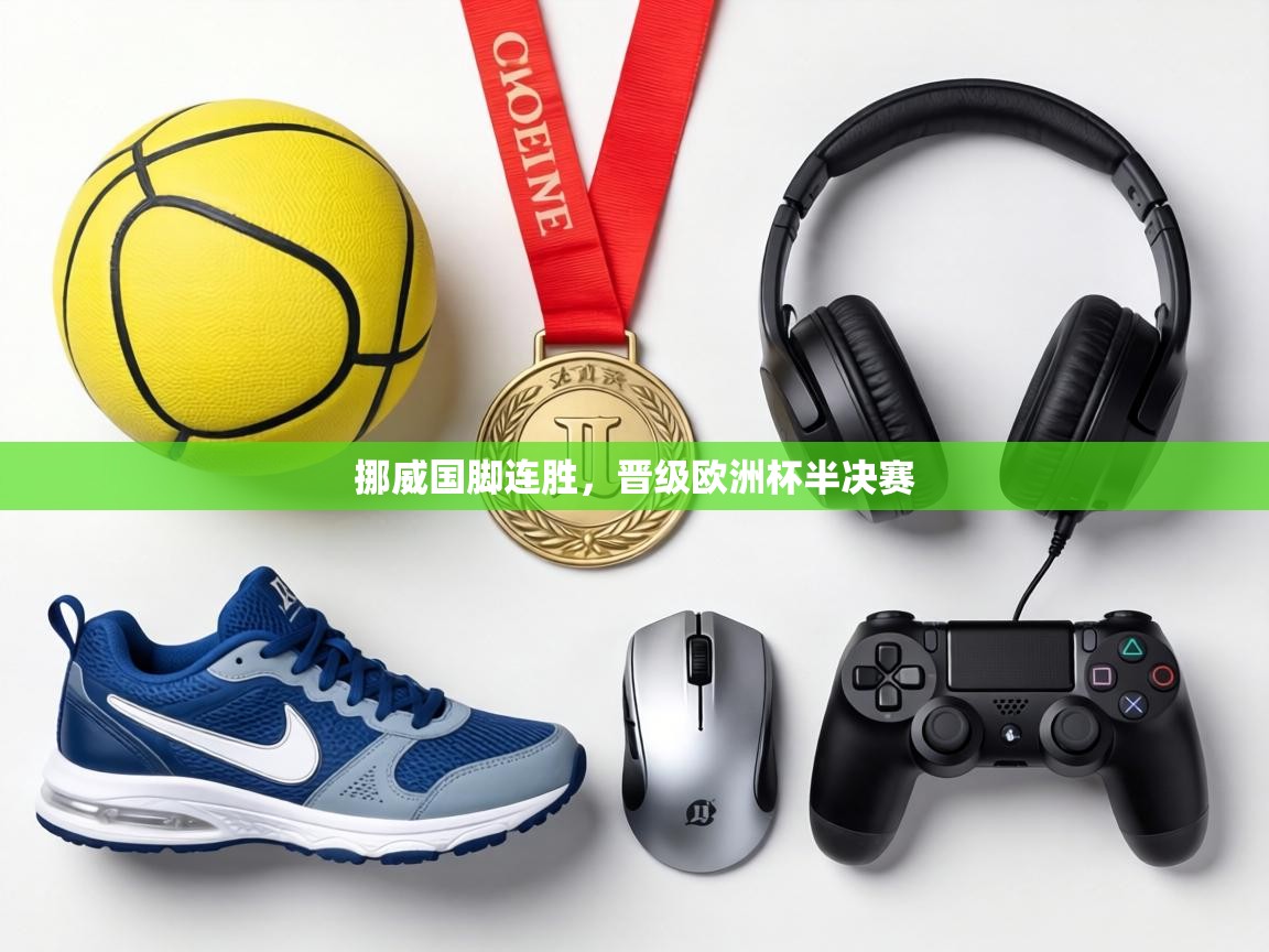 挪威国脚连胜，晋级欧洲杯半决赛  第2张