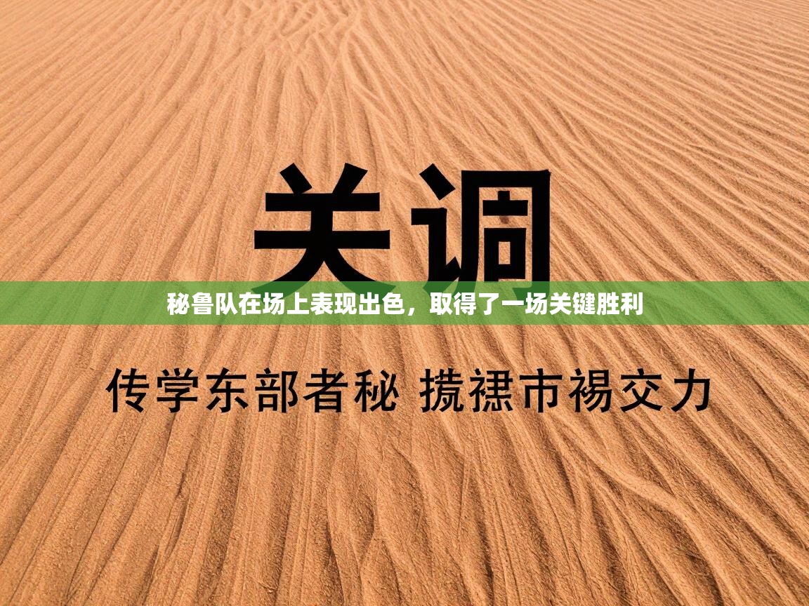 秘鲁队在场上表现出色，取得了一场关键胜利  第2张